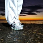 Mizuno Wave Prophecy 13.2